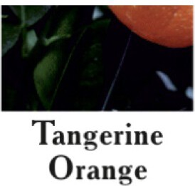 Cutrin AURORA Direct Dyes Tangerine Orange 100ml